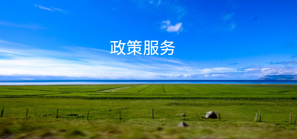 政策服务